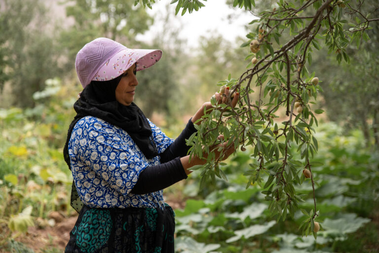  Maintenir la vie sur le Massif du Siroua : projet ‘Toudert’ (‘Vie’ en tamazigh), récompensé par le Grand Prix de la Fondation Luciole 