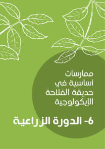 ممارسات أساسية في حديقة الفلاحة الإيكولوجية -6- الدورة الزراعية